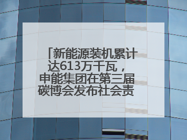 新能源装机累计达613万千瓦，申能集团在第三届碳博会发布社会责任报告