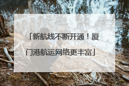 新航线不断开通！厦门港航运网络更丰富