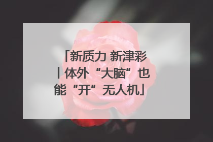 新质力 新津彩丨体外“大脑”也能“开”无人机
