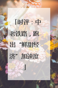时评：中老铁路，跑出“鲜甜经济”加速度