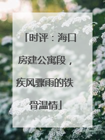 时评：海口房建公寓段，疾风骤雨的铁骨温情