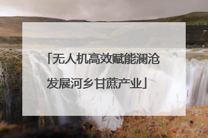 无人机高效赋能澜沧发展河乡甘蔗产业