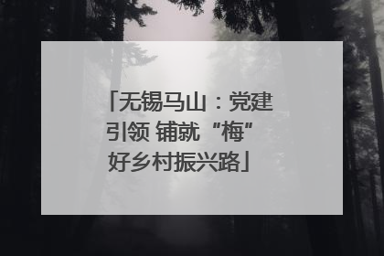 无锡马山：党建引领 铺就“梅”好乡村振兴路