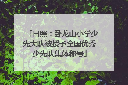 日照：卧龙山小学少先大队被授予全国优秀少先队集体称号