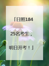 日照18425名考生，明日开考！