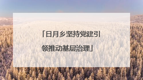 日月乡坚持党建引领推动基层治理