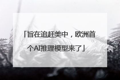 旨在追赶美中，欧洲首个AI推理模型来了