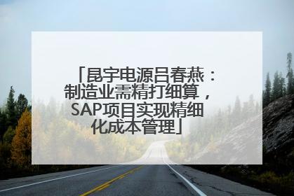 昆宇电源吕春燕：制造业需精打细算，SAP项目实现精细化成本管理