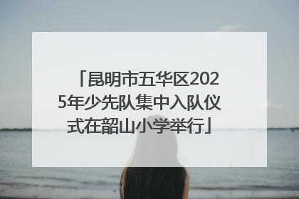 昆明市五华区2025年少先队集中入队仪式在韶山小学举行