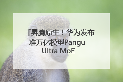 昇腾原生！华为发布准万亿模型Pangu Ultra MoE模型架构和训练细节