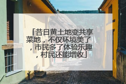 昔日黄土地变共享菜地，不仅环境美了，市民多了体验乐趣，村民还能增收
