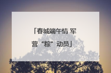 春城端午情 军营“粽”动员