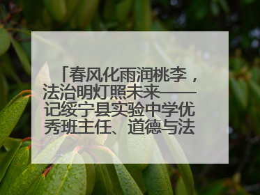 春风化雨润桃李，法治明灯照未来——记绥宁县实验中学优秀班主任、道德与法治教师张