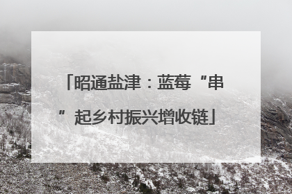 昭通盐津：蓝莓“串”起乡村振兴增收链
