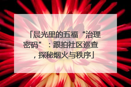 晨光里的五福“治理密码”：跟拍社区巡查，探秘烟火与秩序
