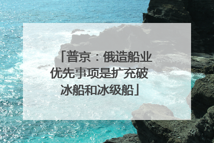 普京：俄造船业优先事项是扩充破冰船和冰级船