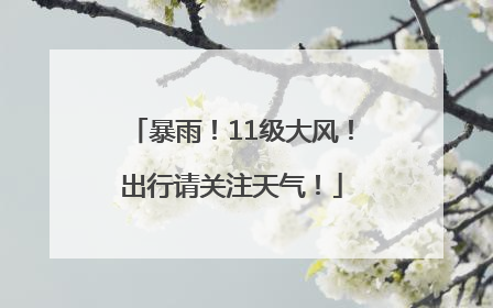 暴雨！11级大风！出行请关注天气！