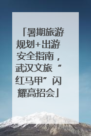 暑期旅游规划+出游安全指南，武汉文旅“红马甲”闪耀高招会
