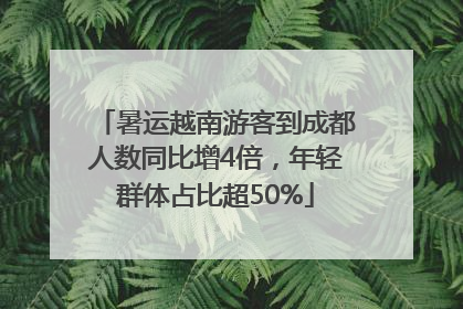 暑运越南游客到成都人数同比增4倍，年轻群体占比超50%