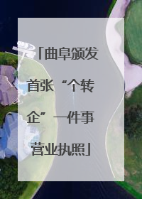 曲阜颁发首张“个转企”一件事营业执照
