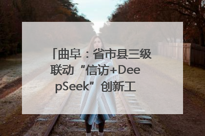 曲阜：省市县三级联动“信访+DeepSeek”创新工作新闻发布会举行