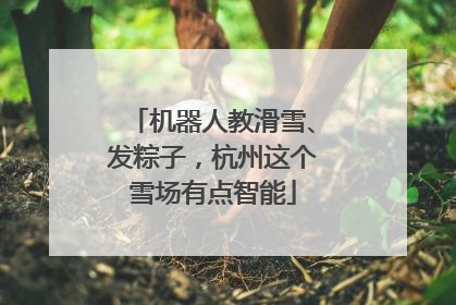 机器人教滑雪、发粽子，杭州这个雪场有点智能