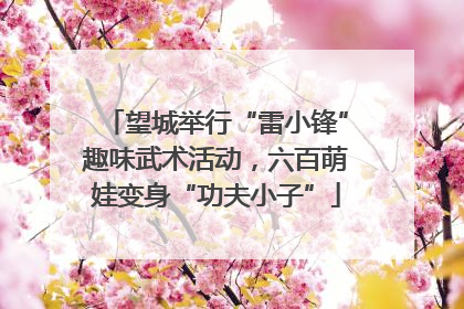 望城举行“雷小锋”趣味武术活动，六百萌娃变身“功夫小子”