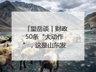 望岳谈｜财政50条“大动作”，这是山东发展民企的决心