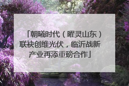 朝曦时代（曜灵山东）联袂创维光伏，临沂战新产业再添重磅合作