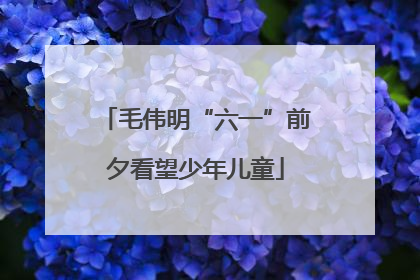 毛伟明“六一”前夕看望少年儿童