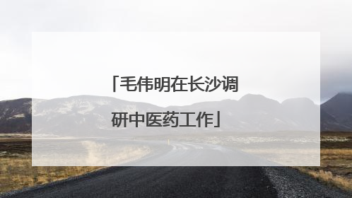毛伟明在长沙调研中医药工作