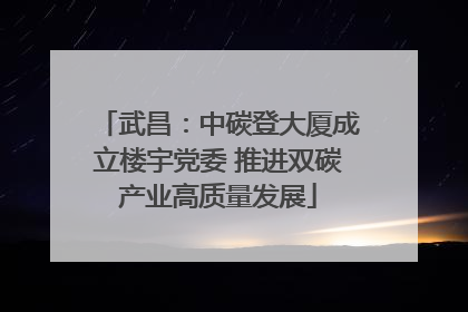 武昌：中碳登大厦成立楼宇党委 推进双碳产业高质量发展
