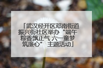武汉经开区邓南街道振兴街社区举办“端午粽香飘正气 六一童梦筑廉心” 主题活动