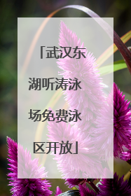 武汉东湖听涛泳场免费泳区开放