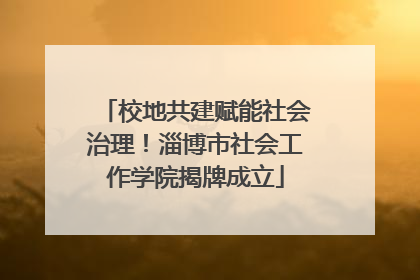 校地共建赋能社会治理！淄博市社会工作学院揭牌成立