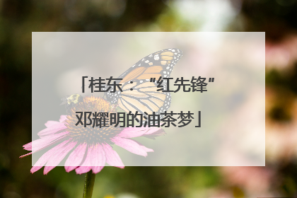 桂东：“红先锋”邓耀明的油茶梦