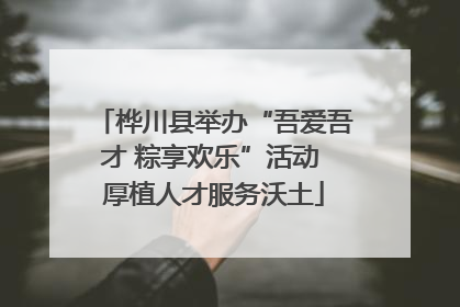 桦川县举办“吾爱吾才 粽享欢乐”活动 厚植人才服务沃土