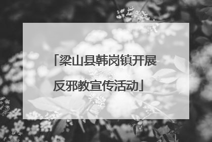梁山县韩岗镇开展反邪教宣传活动