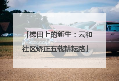 梯田上的新生：云和社区矫正五载耕耘路