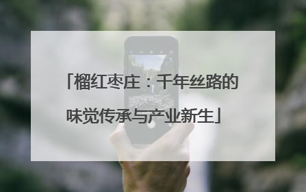 榴红枣庄：千年丝路的味觉传承与产业新生
