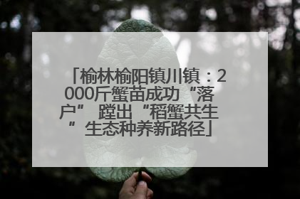 榆林榆阳镇川镇：2000斤蟹苗成功“落户” 蹚出“稻蟹共生”生态种养新路径
