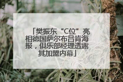 樊振东“C位”亮相德国萨尔布吕肯海报，俱乐部经理透露其加盟内幕