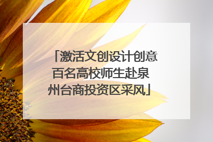 激活文创设计创意 百名高校师生赴泉州台商投资区采风
