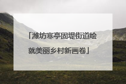 潍坊寒亭固堤街道绘就美丽乡村新画卷