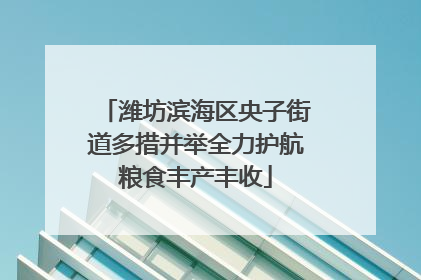 潍坊滨海区央子街道多措并举全力护航粮食丰产丰收