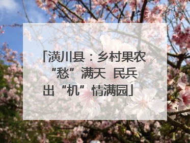 潢川县：乡村果农“愁”满天  民兵出“机”情满园