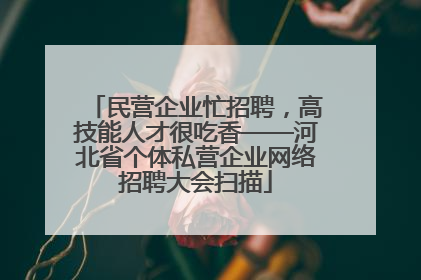 民营企业忙招聘，高技能人才很吃香——河北省个体私营企业网络招聘大会扫描