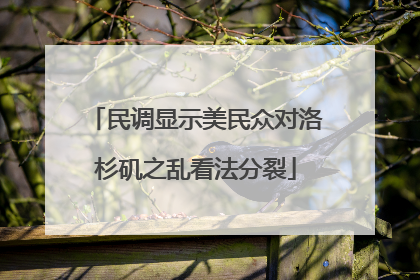 民调显示美民众对洛杉矶之乱看法分裂