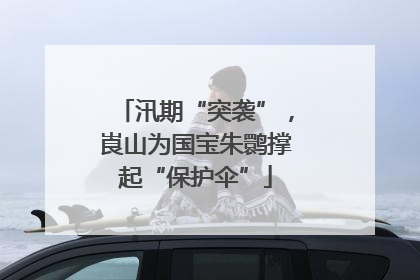 汛期“突袭”，崀山为国宝朱鹮撑起“保护伞”