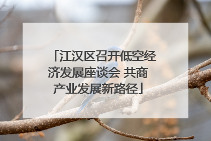江汉区召开低空经济发展座谈会 共商产业发展新路径